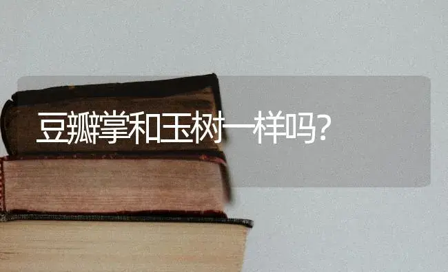 台球1号球至9号球分别是什么颜色？ | 多肉养殖