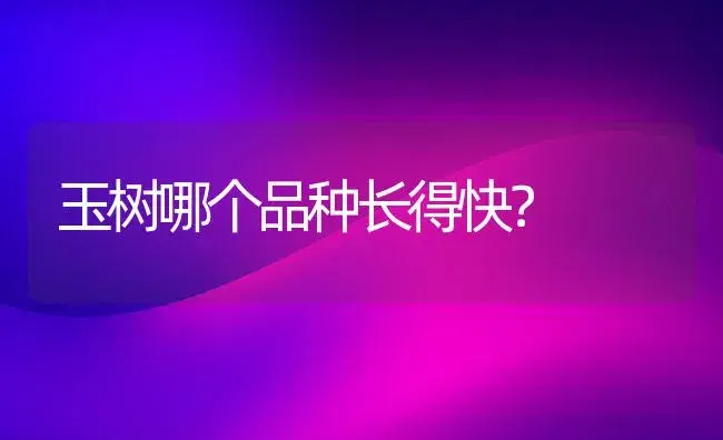 玉树哪个品种长得快？ | 多肉养殖