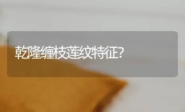 乾隆缠枝莲纹特征？ | 多肉养殖