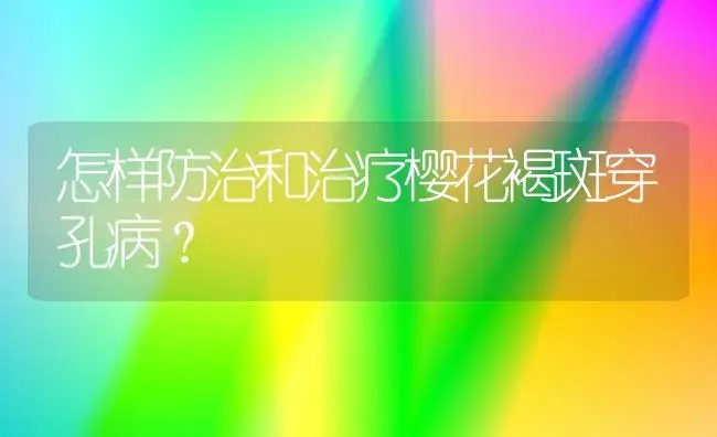 怎样防治和治疗樱花褐斑穿孔病？ | 家庭养花