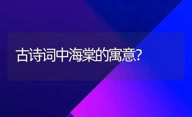 古诗词中海棠的寓意？ | 绿植常识