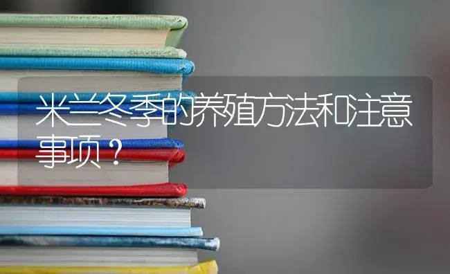 米兰冬季的养殖方法和注意事项？ | 绿植常识