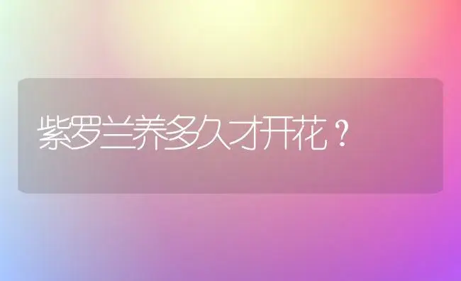 紫罗兰养多久才开花？ | 绿植常识