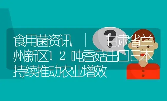 甘肃省兰州新区12吨香菇出口日本 持续推动农业增效 | 菌菇种植