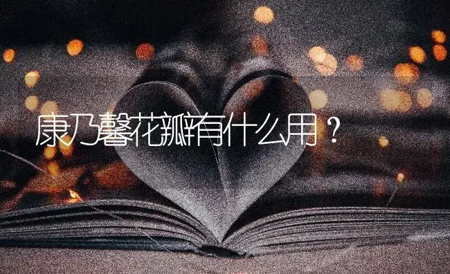 康乃馨花瓣有什么用？ | 绿植常识