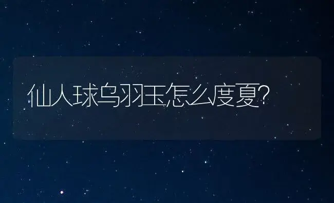 仙人球乌羽玉怎么度夏？ | 多肉养殖