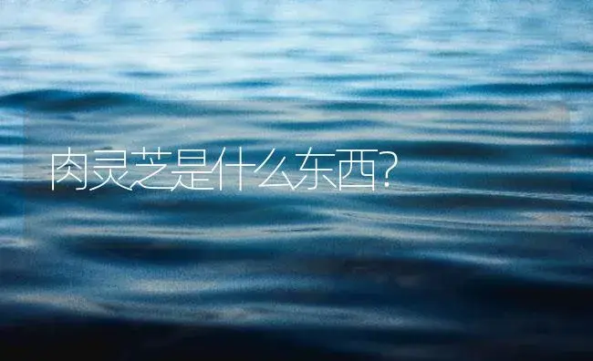 肉灵芝是什么东西？ | 药材种植