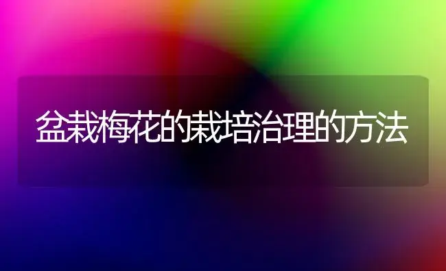 盆栽梅花的栽培治理的方法 | 家庭养花