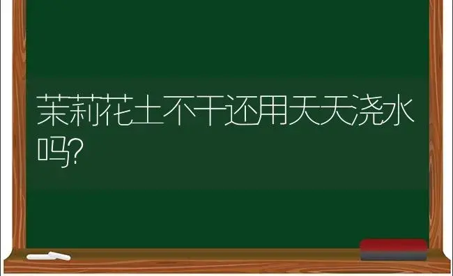 茉莉花土不干还用天天浇水吗？ | 绿植常识