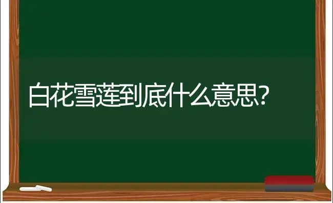 嫁接后的仙人掌还会继续长高吗？ | 多肉养殖