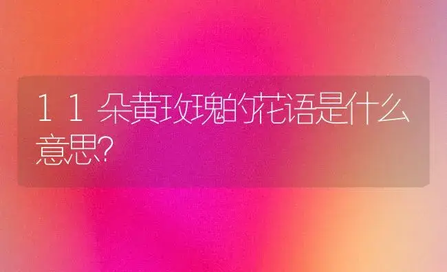 11朵黄玫瑰的花语是什么意思？ | 绿植常识