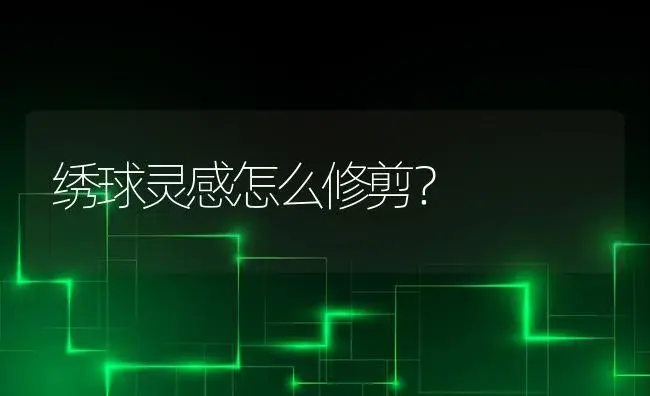 绣球灵感怎么修剪？ | 绿植常识