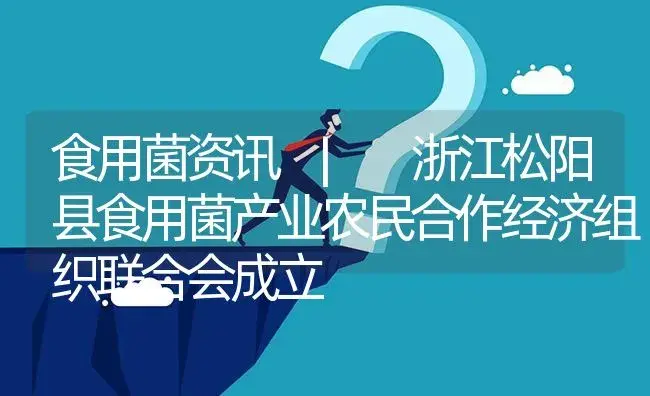 浙江松阳县食用菌产业农民合作经济组织联合会成立 | 菌菇种植