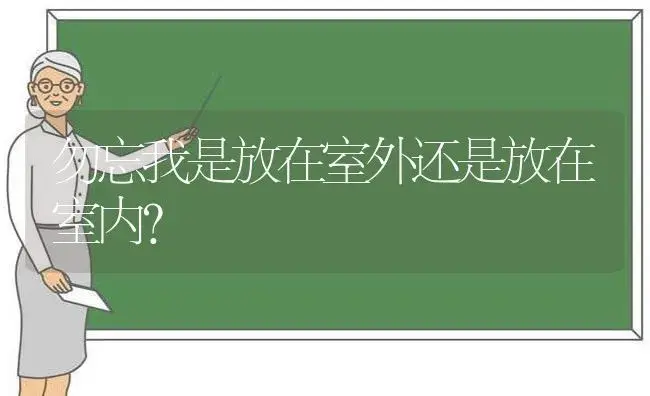 勿忘我是放在室外还是放在室内？ | 绿植常识