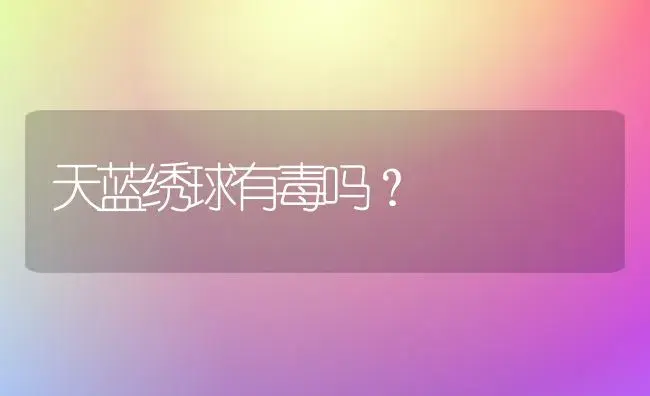 天蓝绣球有毒吗？ | 绿植常识