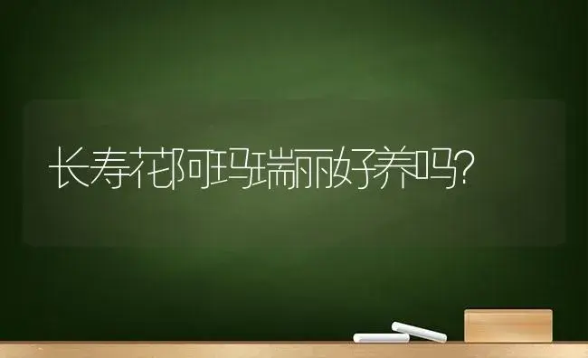 长寿花阿玛瑞丽好养吗？ | 多肉养殖