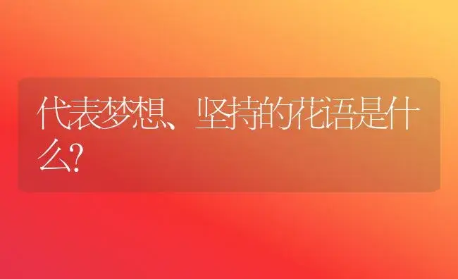 代表梦想、坚持的花语是什么？ | 绿植常识