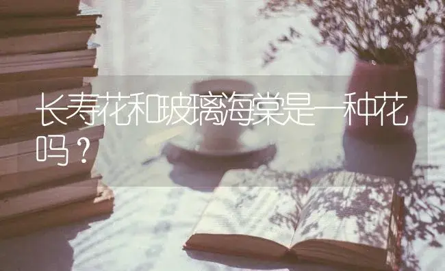 长寿花和玻璃海棠是一种花吗？ | 多肉养殖