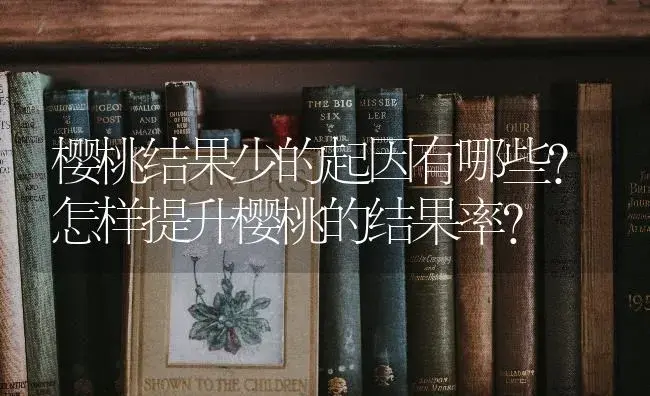 樱桃结果少的起因有哪些？怎样提升樱桃的结果率？ | 果木种植