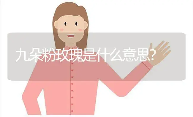 九朵粉玫瑰是什么意思？ | 绿植常识