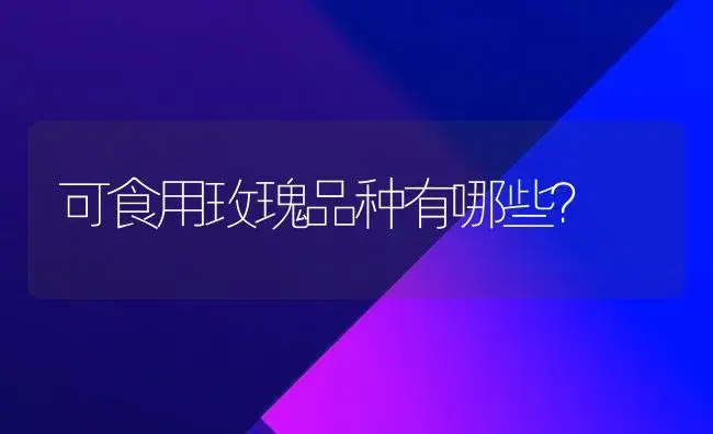 可食用玫瑰品种有哪些？ | 绿植常识