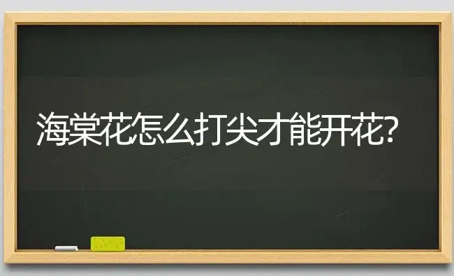 蝴蝶兰花苞到开花需要多长时间？ | 绿植常识