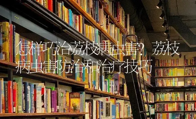 怎样巧治荔枝病虫害？荔枝病虫害防治和治疗技巧 | 果木种植