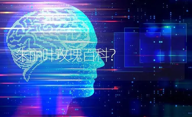 朱丽叶玫瑰百科？ | 绿植常识