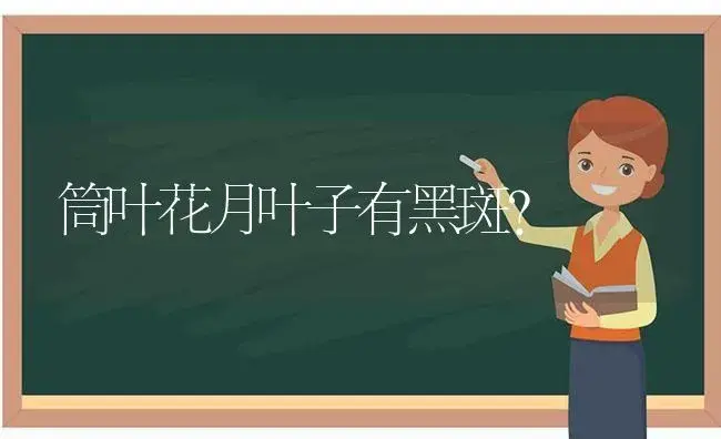 筒叶花月叶子有黑斑？ | 多肉养殖