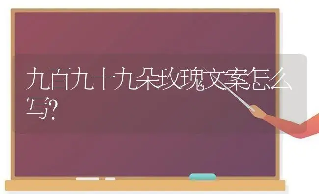 九百九十九朵玫瑰文案怎么写？ | 绿植常识