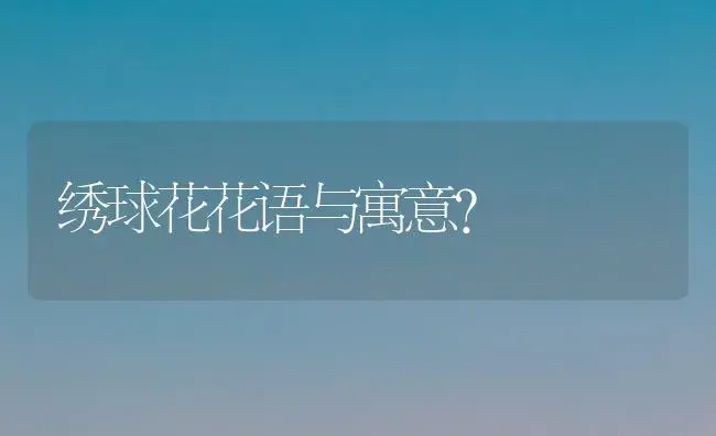 绣球花花语与寓意？ | 绿植常识