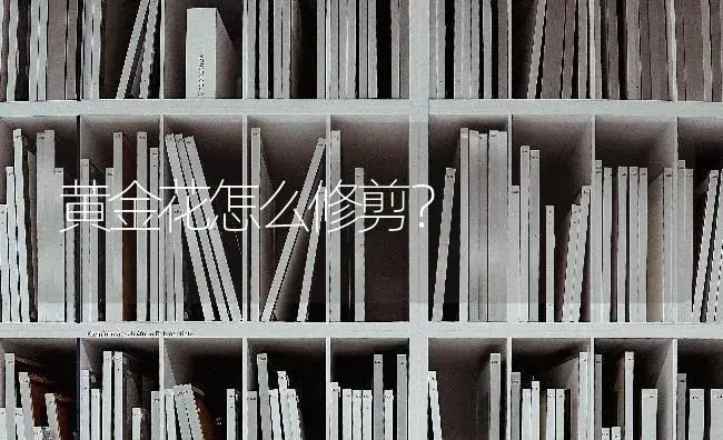 黄金花怎么修剪？ | 多肉养殖