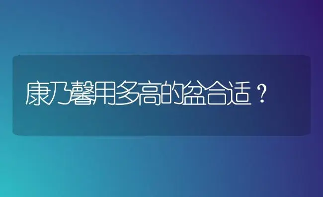 康乃馨用多高的盆合适？ | 绿植常识