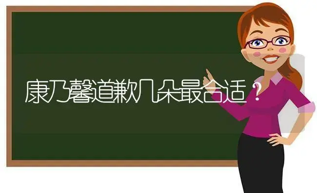 康乃馨道歉几朵最合适？ | 绿植常识