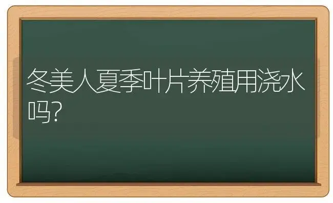 冬美人夏季叶片养殖用浇水吗？ | 多肉养殖