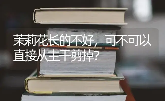 茉莉花长的不好，可不可以直接从主干剪掉？ | 绿植常识