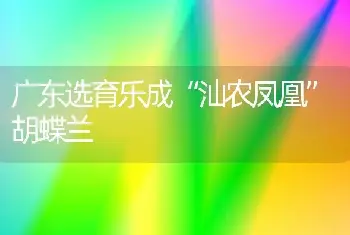 广东选育乐成“汕农凤凰”胡蝶兰