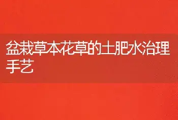 盆栽草本花草的土肥水治理手艺