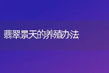 翡翠景天的养殖办法