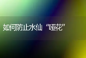 如何防止水仙“哑花”