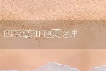 四序海棠的越夏治理