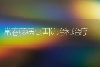 常春藤病虫害防治和治疗