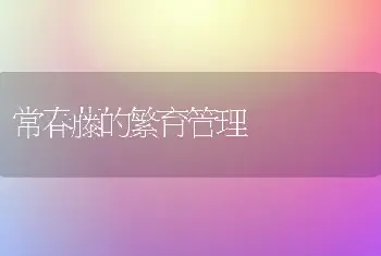 常春藤的繁育管理