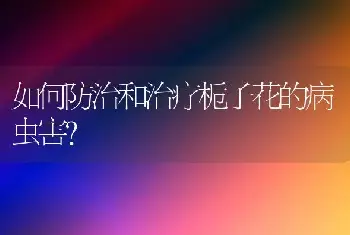 如何防治和治疗栀子花的病虫害?