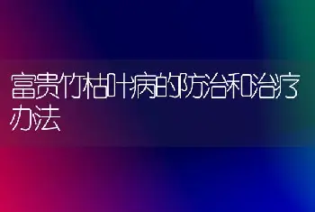 富贵竹枯叶病的防治和治疗办法