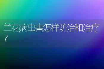 兰花病虫害怎样防治和治疗？