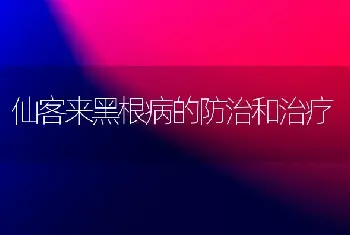 仙客来黑根病的防治和治疗