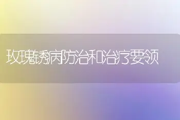 玫瑰锈病防治和治疗要领