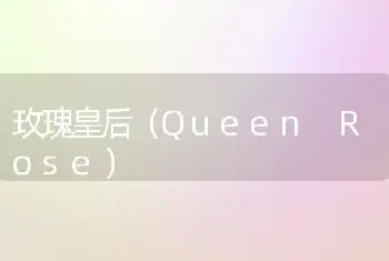 玫瑰皇后（Queen Rose）