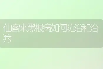 仙客来黑根病如何防治和治疗